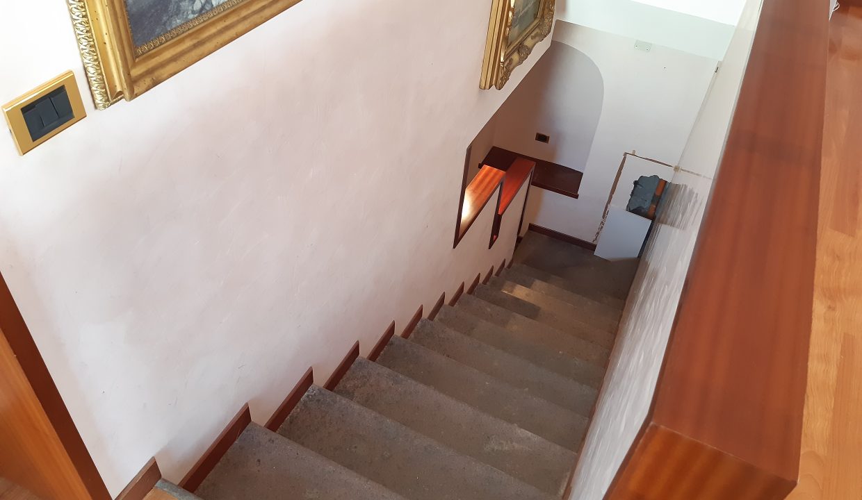 20190214_043903