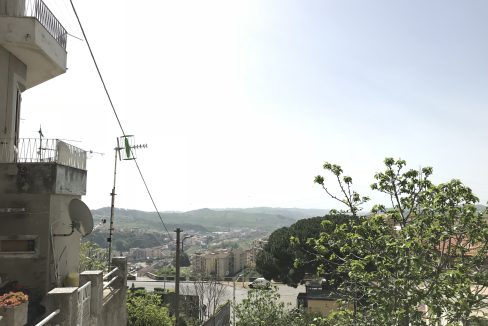IMG_6071