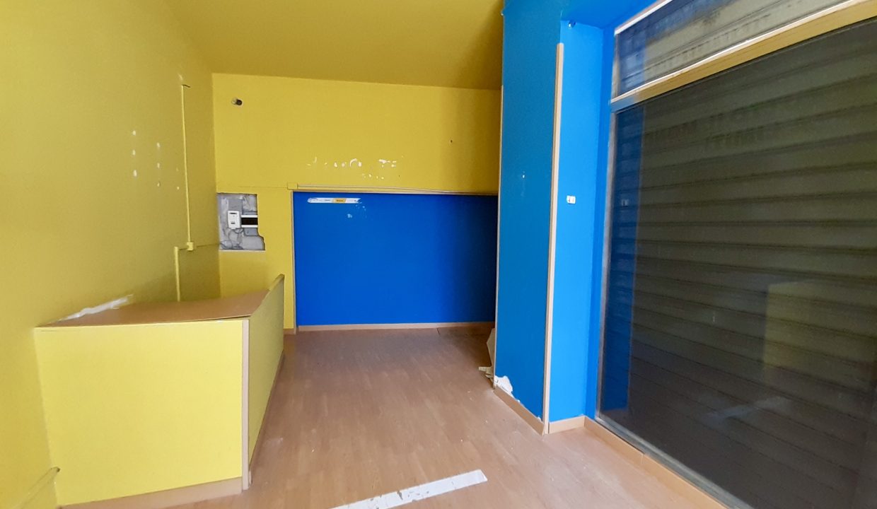 1DE5269D-D4FF-45D1-BD03-1BD959225BA3_1_201_a