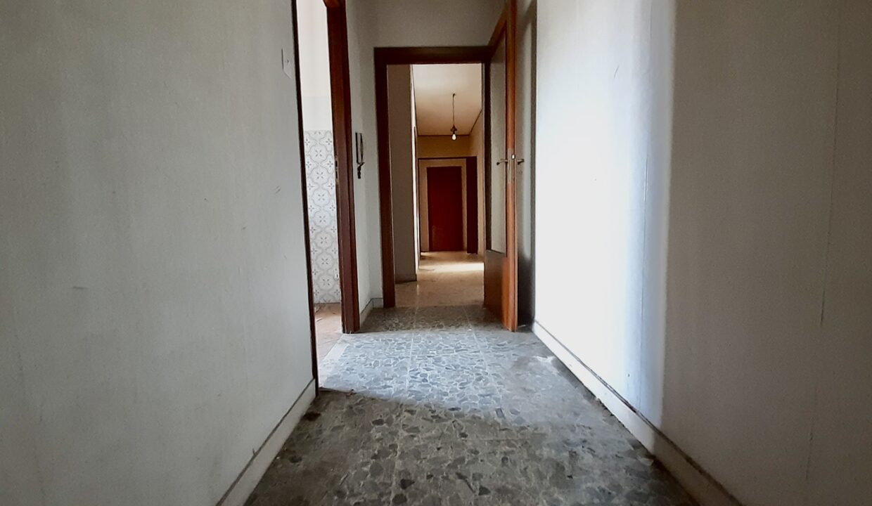 4255D7FD-0BD5-4201-AA00-F2898D527CE2_1_201_a