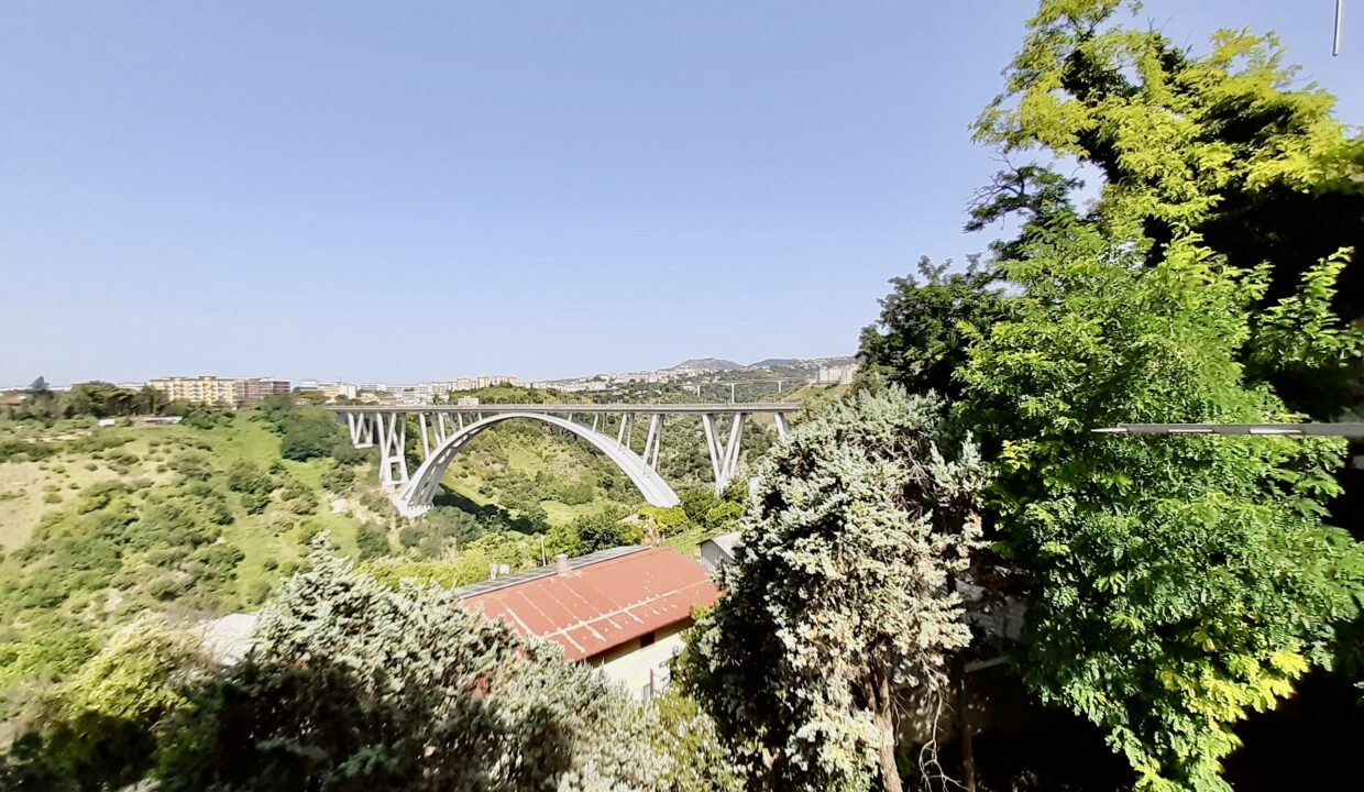 D1BC1836-0BC6-4A55-B972-9D81D48D608B_1_201_a